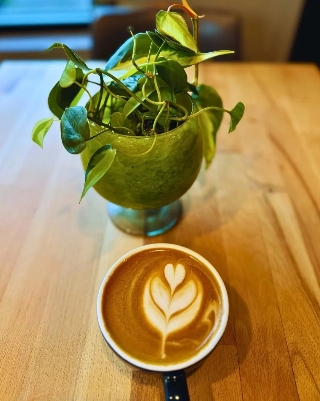 Stop by either one of our locations and snag a plant by @reclaimedroots 

These beautiful reclaimed plant displays are crafted with sustainability and artistry in mind, bringing new life to natural materials and turning them into living decor.

We lo