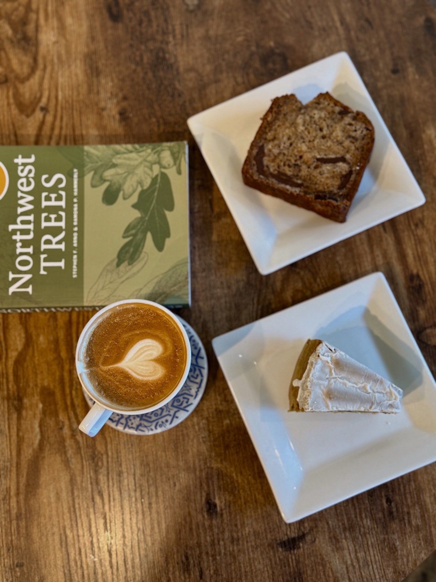 Bumblebee latte: honey, cinnamon, vanilla &amp; steamed milk

Northwest Trees: native PNW tree guide

Come hang, sip something warm, and find a new book 

Book is for sale in shop ❤️