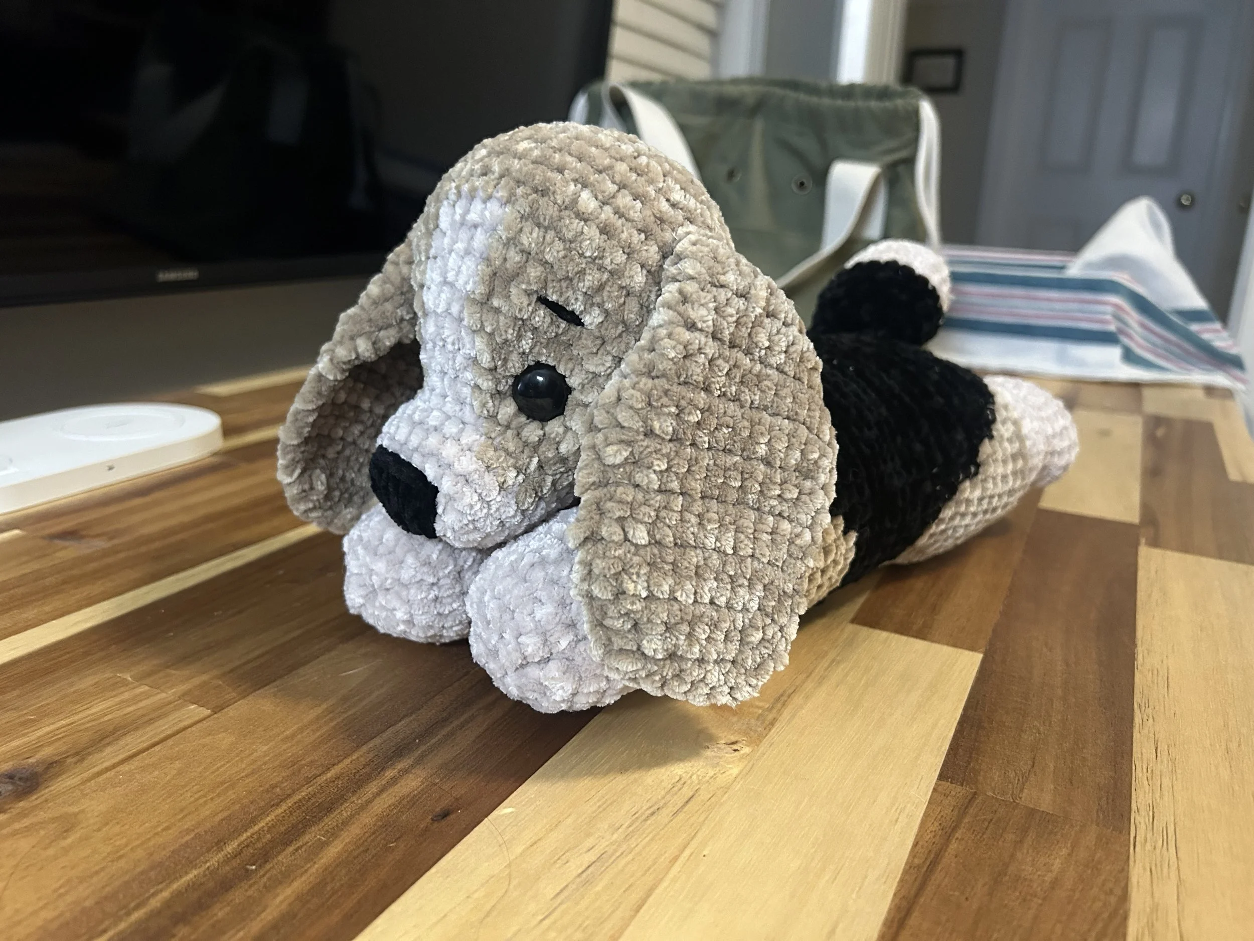 Little Bailey the Beagle