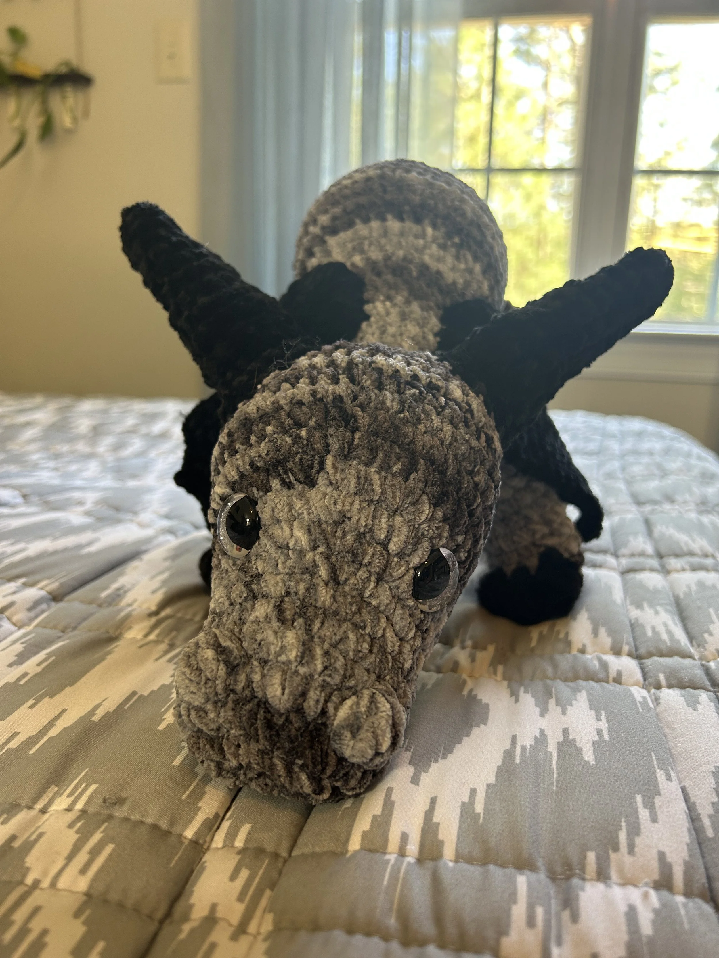 Snuggly Dragon Companion