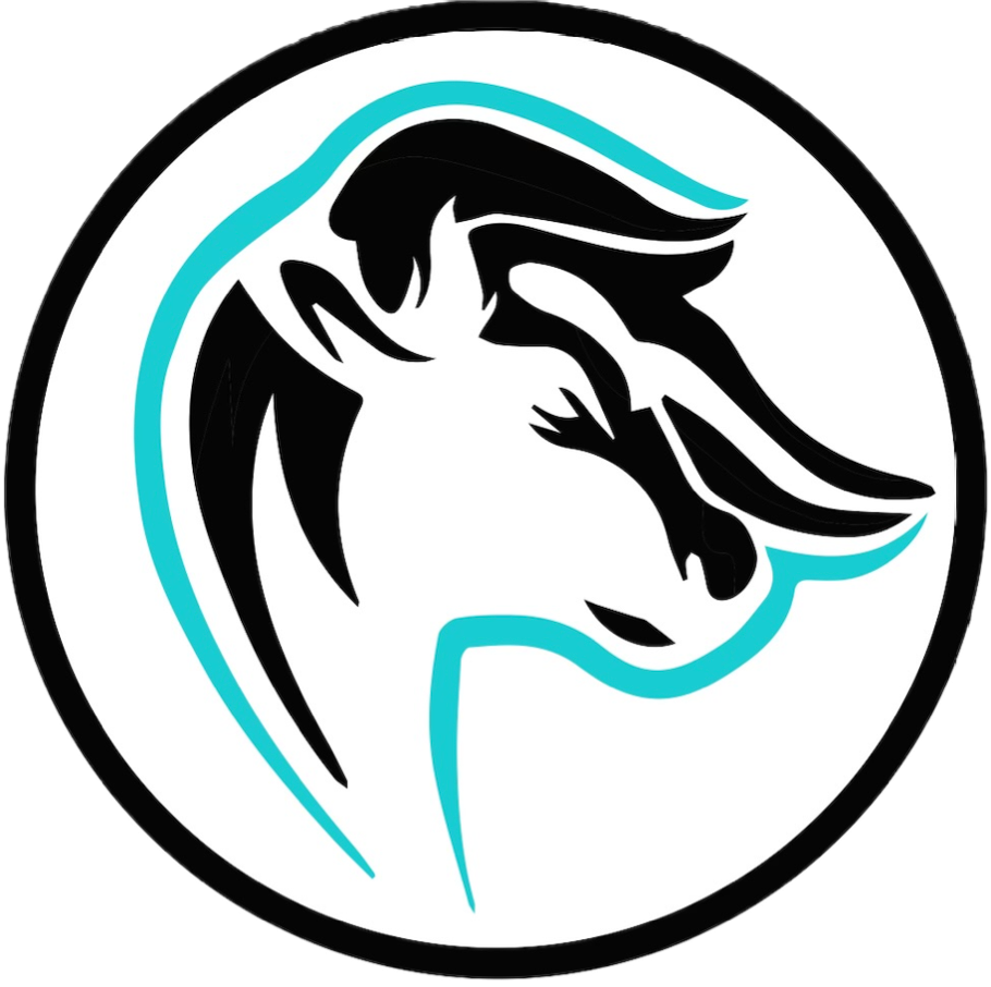 Toro Permian Consulting &amp; Services