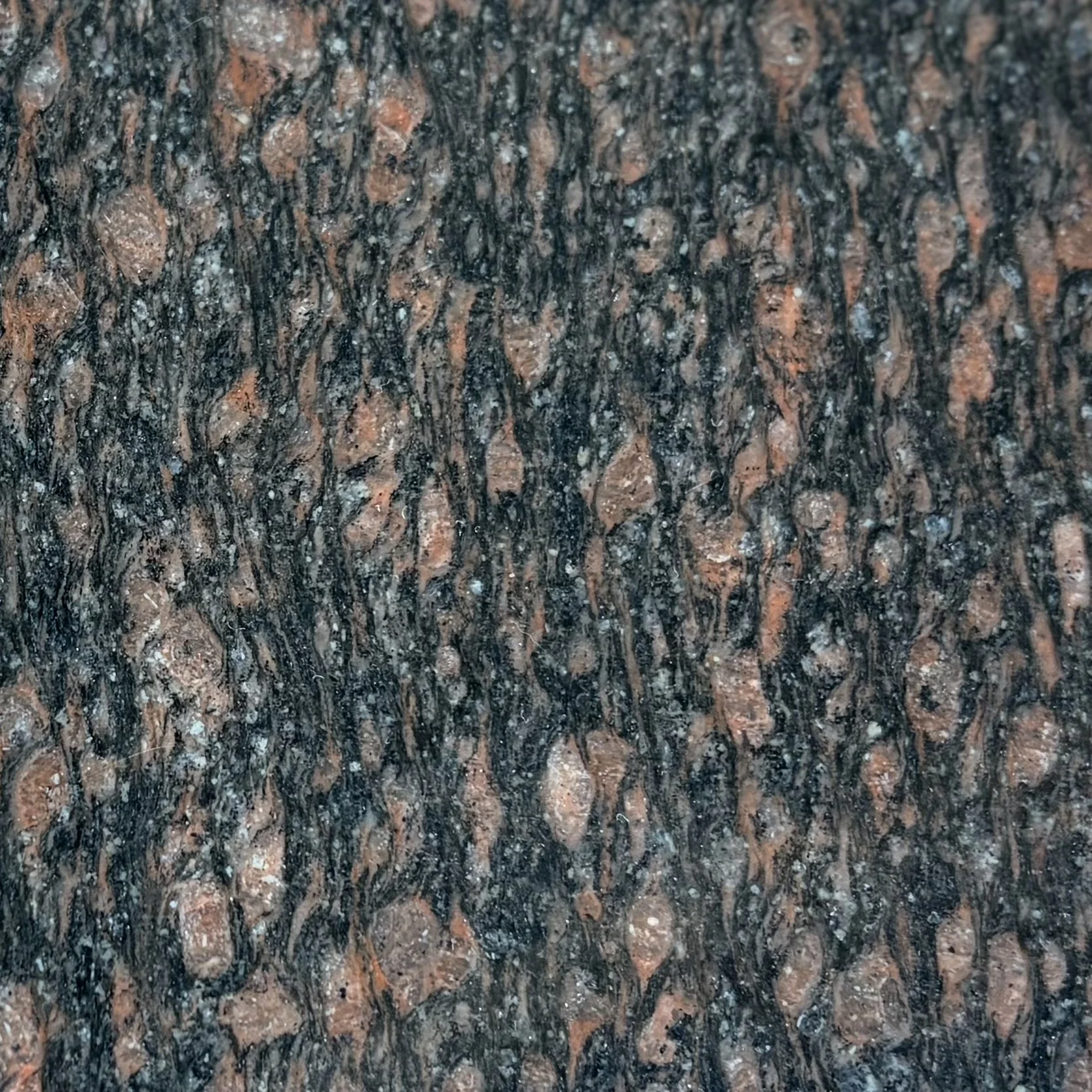 Close-up of Cats Eye granite, surface with a mix of black, brown, and gray mineral patterns.