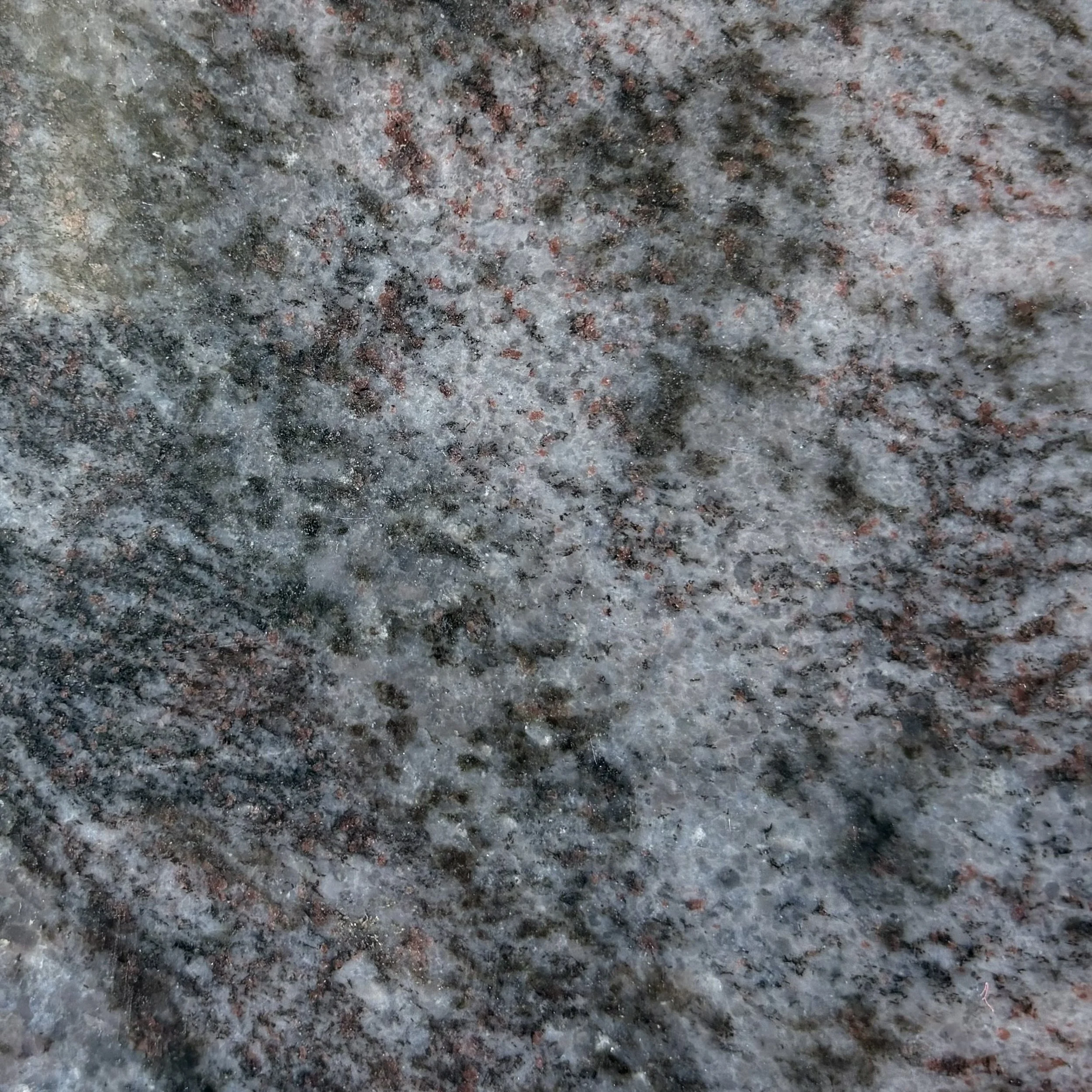 Close-up image of Bahama Blue, a speckled granite with various shades of gray, black, red, and pink mineral patterns.