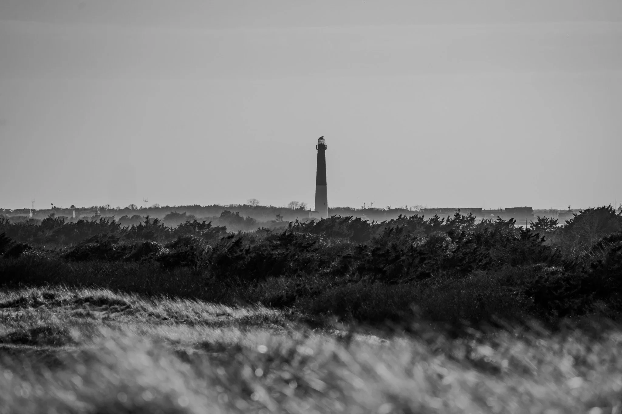 Light in the Distance