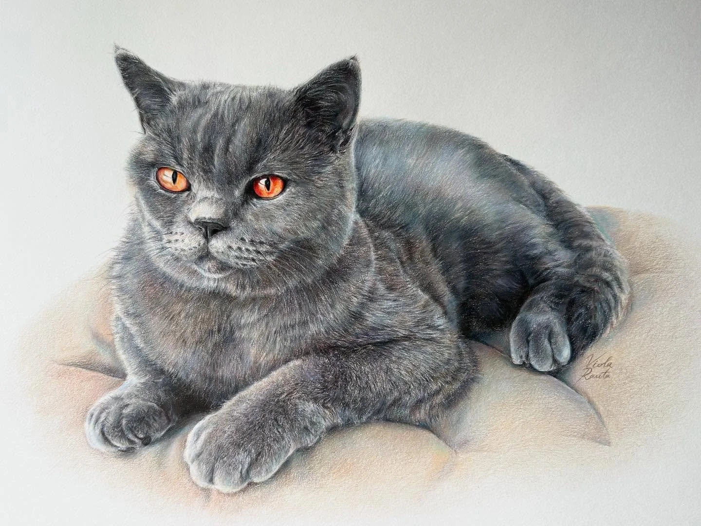 Swipe for details &mdash;> 

Got to do a commissioned portrait of this sweet cat named Pugsley🫶🏻 

As I&rsquo;ve been busy with graduating from a school and doing other art stuff, this was my first photorealistic drawing in a looong while. I als