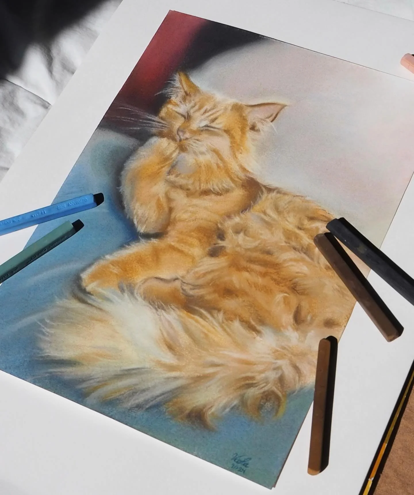 A fluffy orange cat with soft pastels🎨 

My sister sent me a picture of this cute cat and I immediately knew I&rsquo;d have to draw it :) 
I hadn&rsquo;t drawn with soft pastels for a long while but I thought the medium would be perfect for the fluf