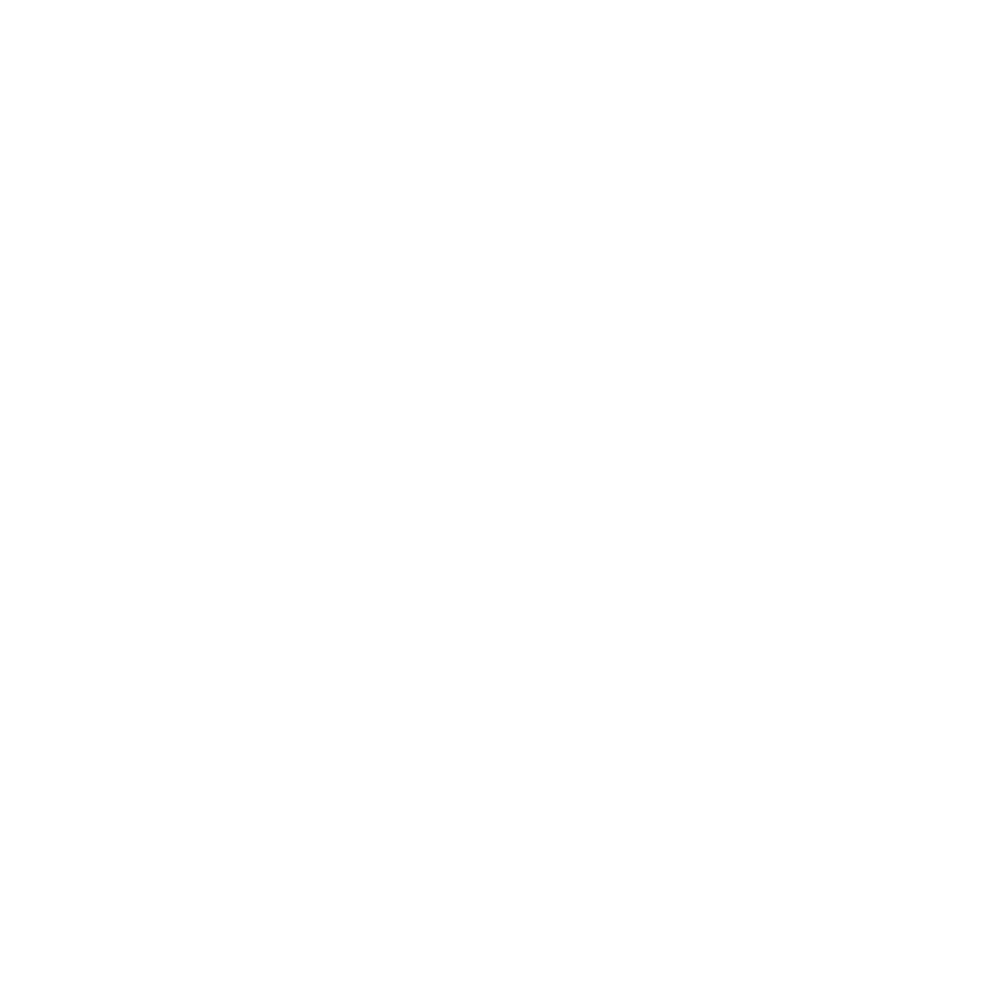 Doble steel disk brakes