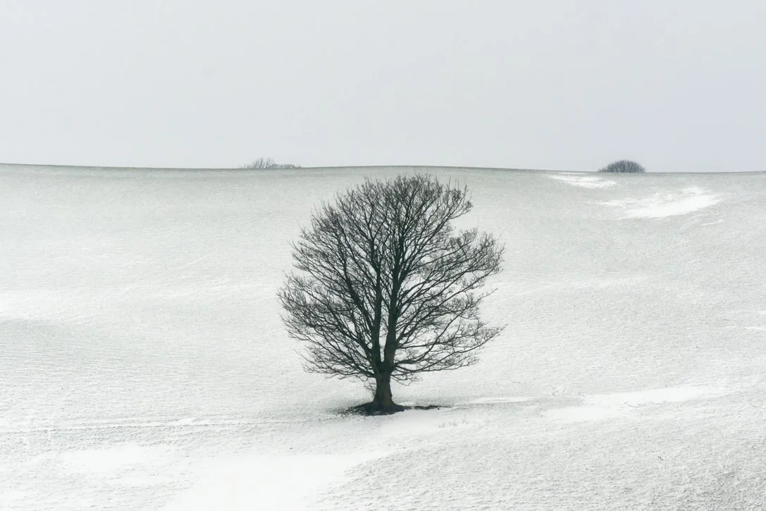 Llandegla, roadside A525 - 01