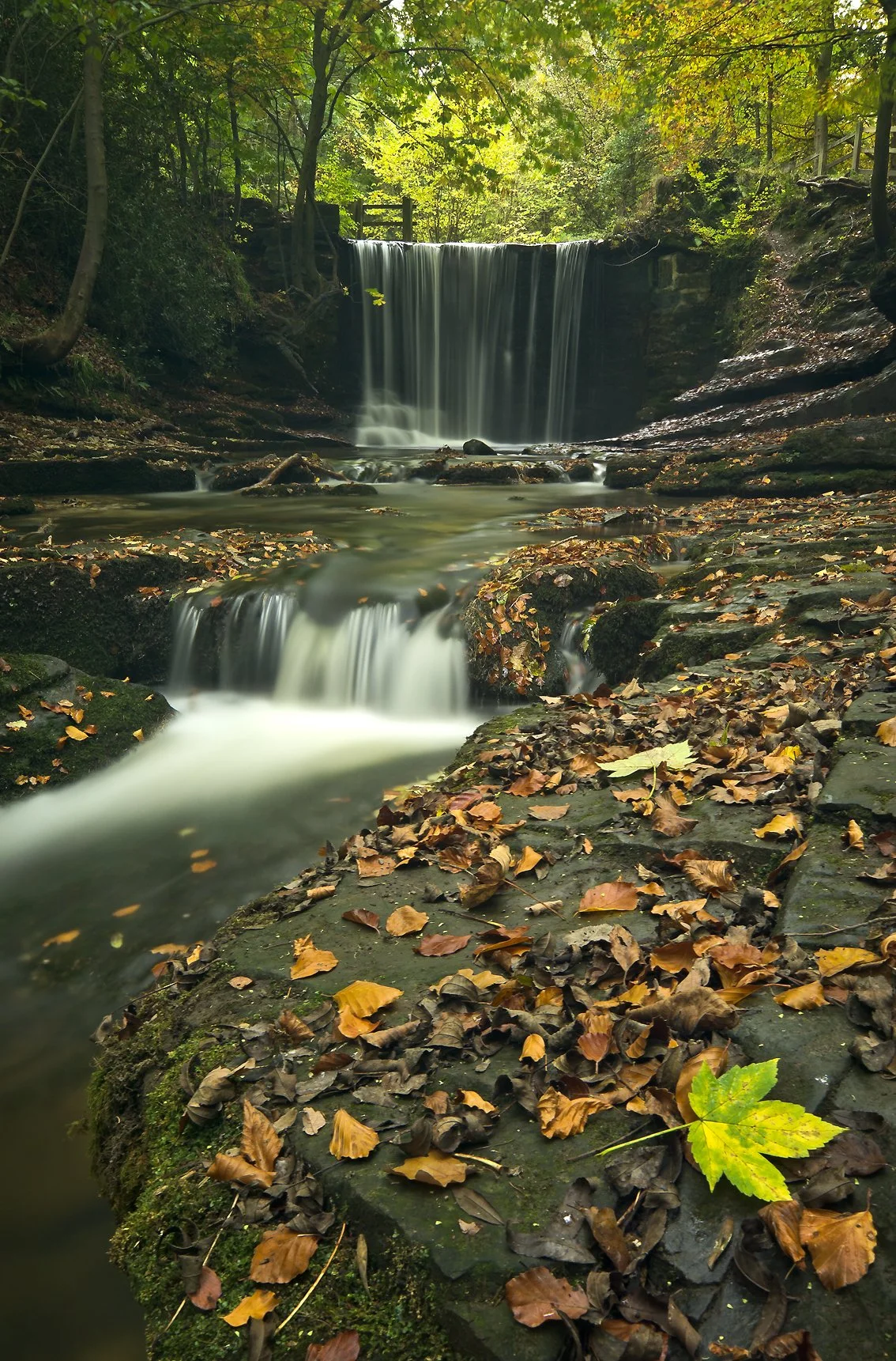 Plas Power Waterfall
