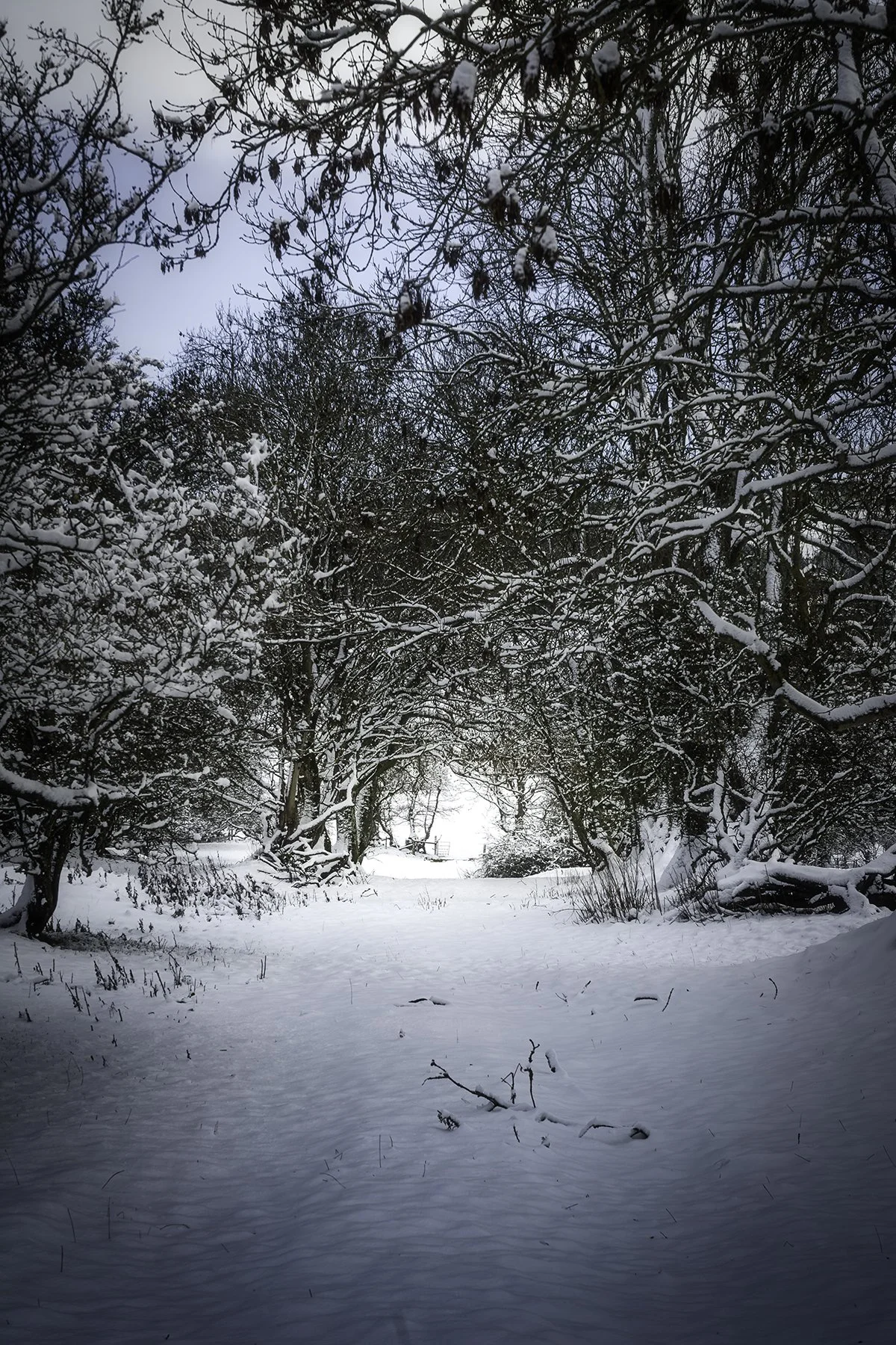 Llandegla, snow tunnel - 04
