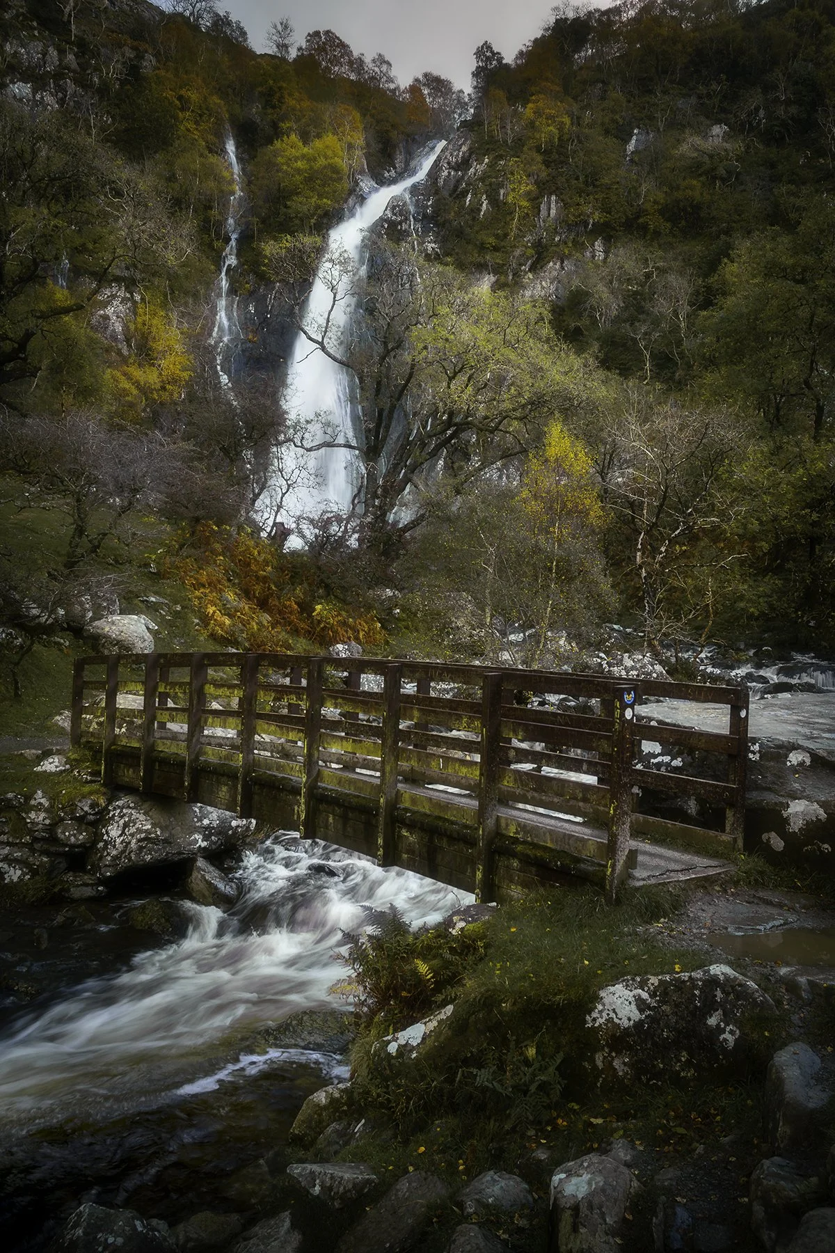 Aber Falls - 04