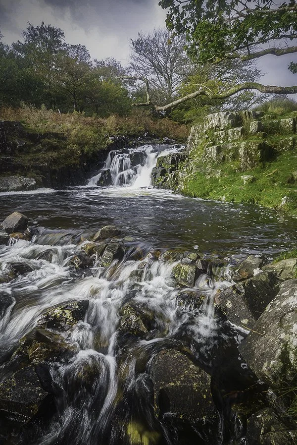 Llyn Cwm Bychan - 01