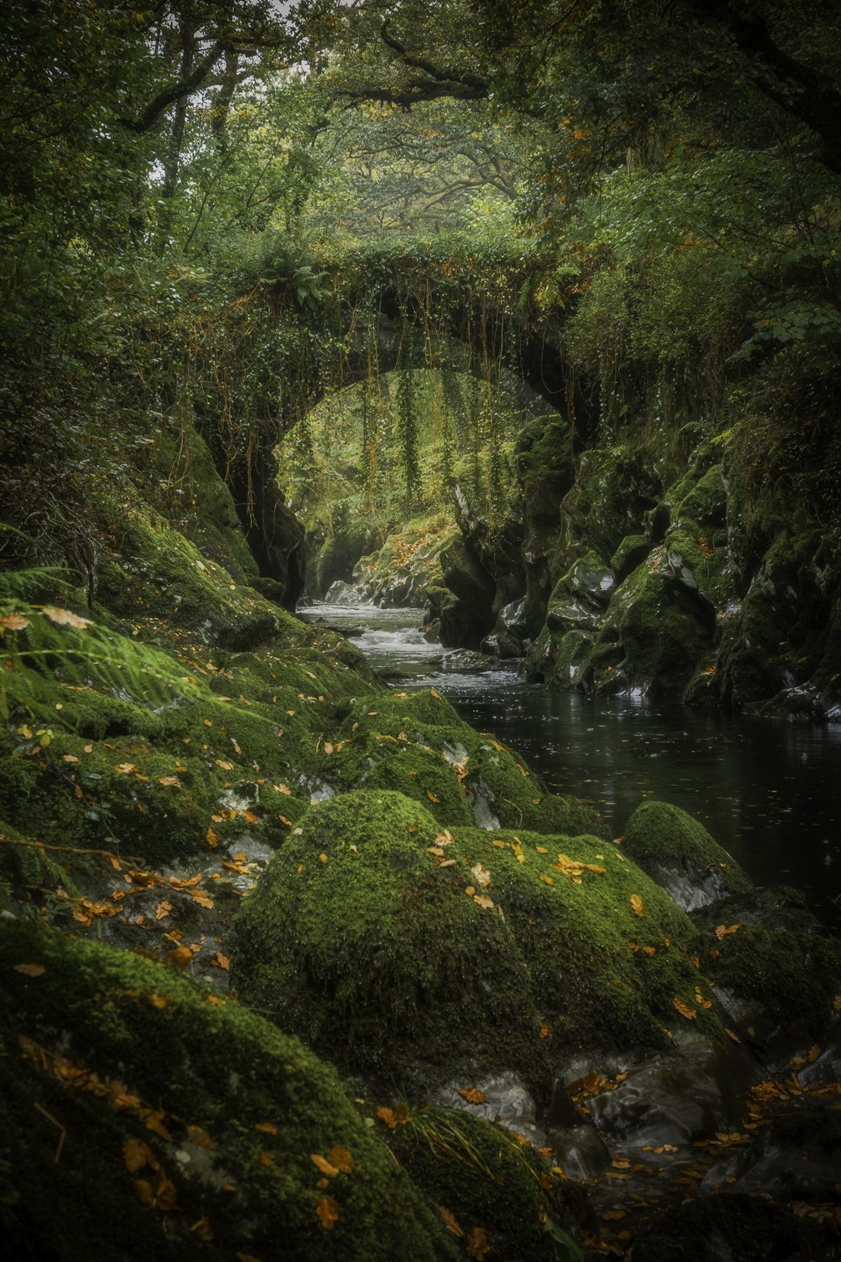 Penmachno Bridge - 01