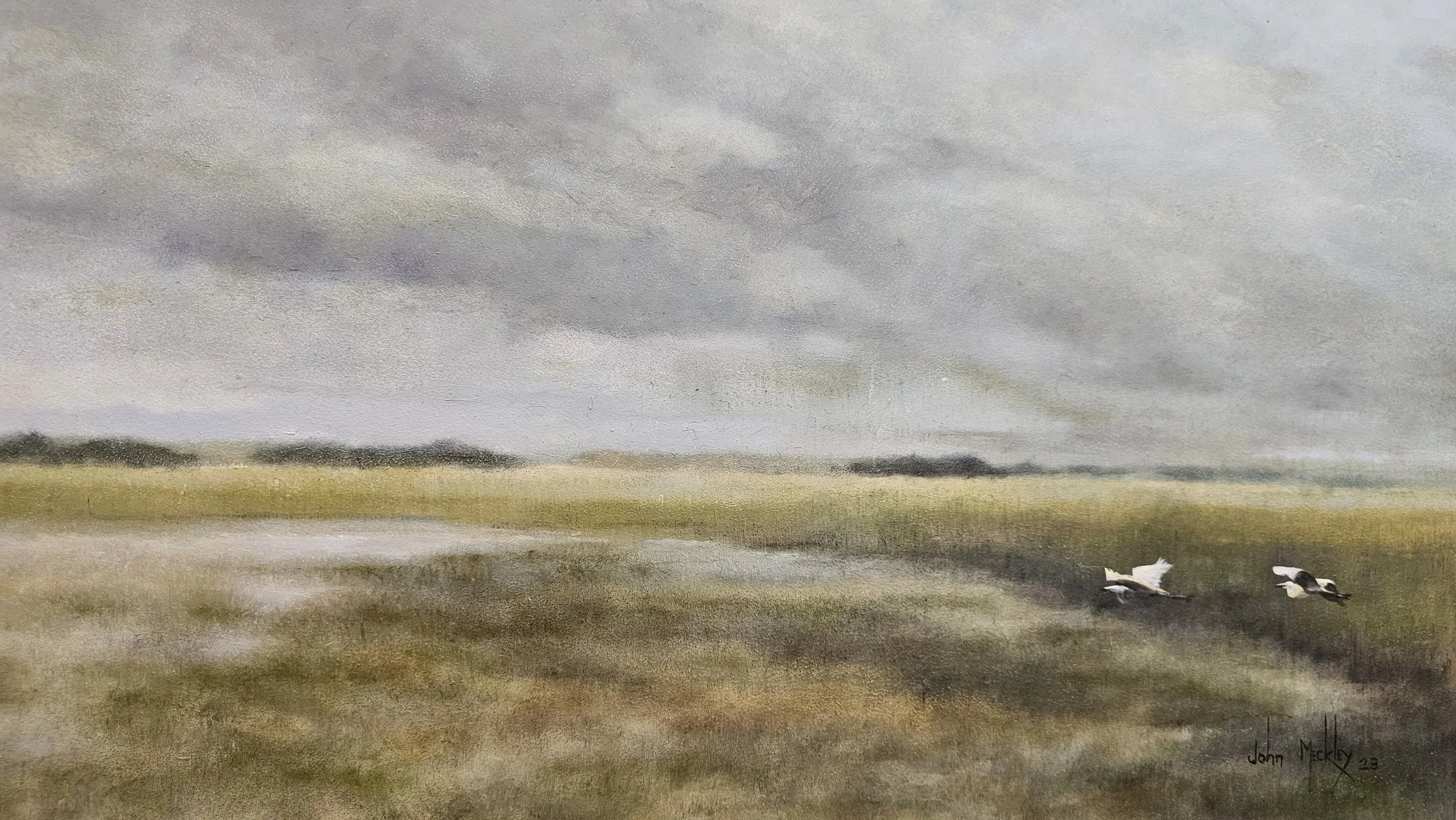 A watercolor painting of a flat, open landscape with a cloudy sky overhead. Two ducks are flying close to the ground in the right middle of the painting. The colors are muted with shades of gray, green, and brown.
