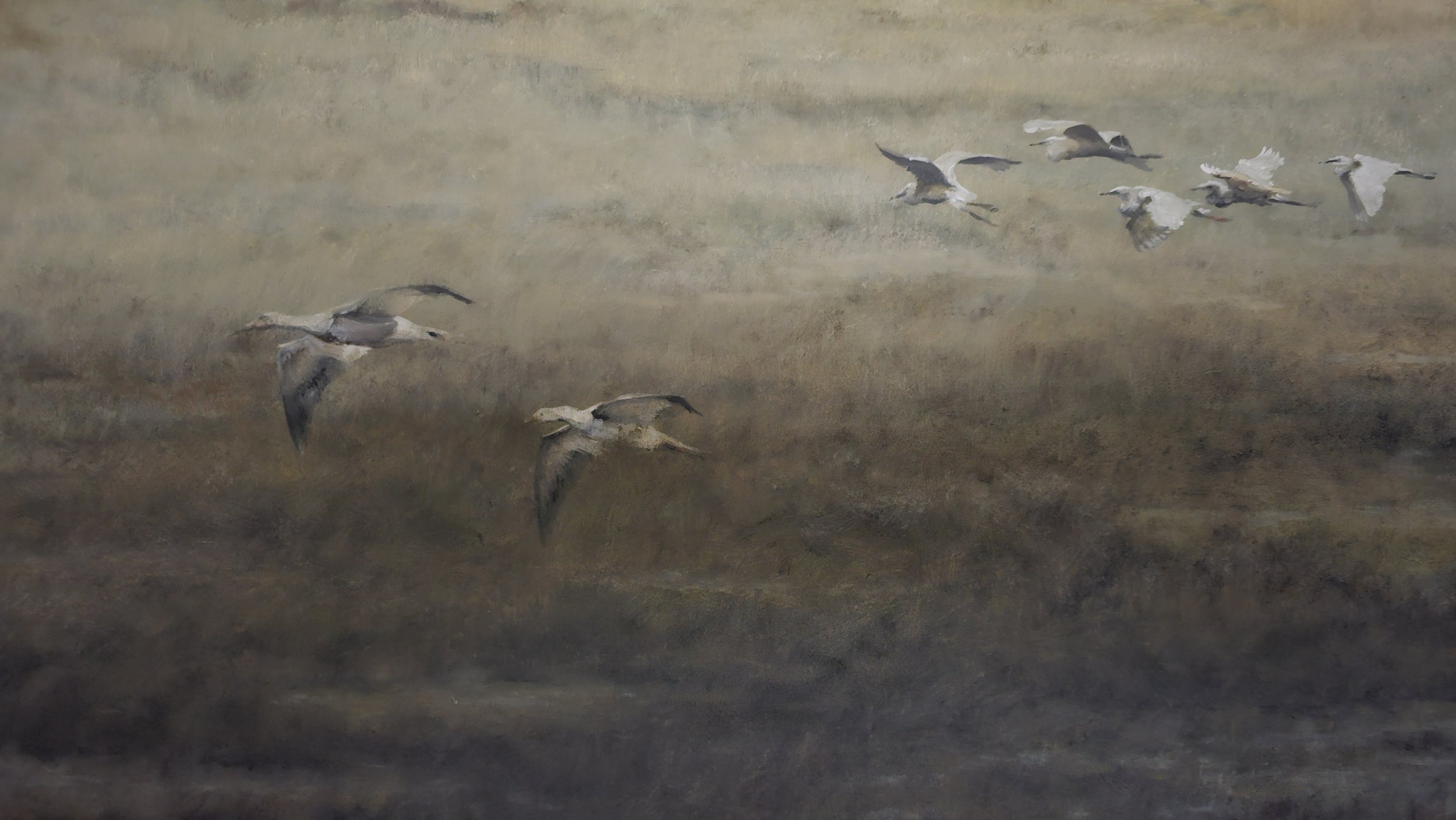 A flock of seagulls flying over a body of water with a misty, muted background.