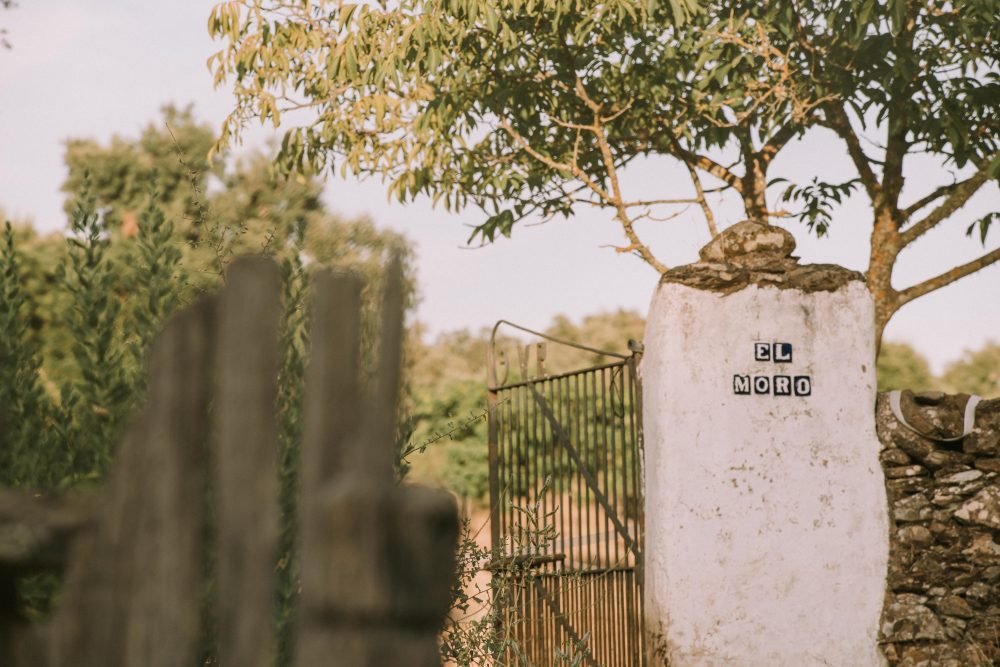 Finca-gate-1000x667.jpg