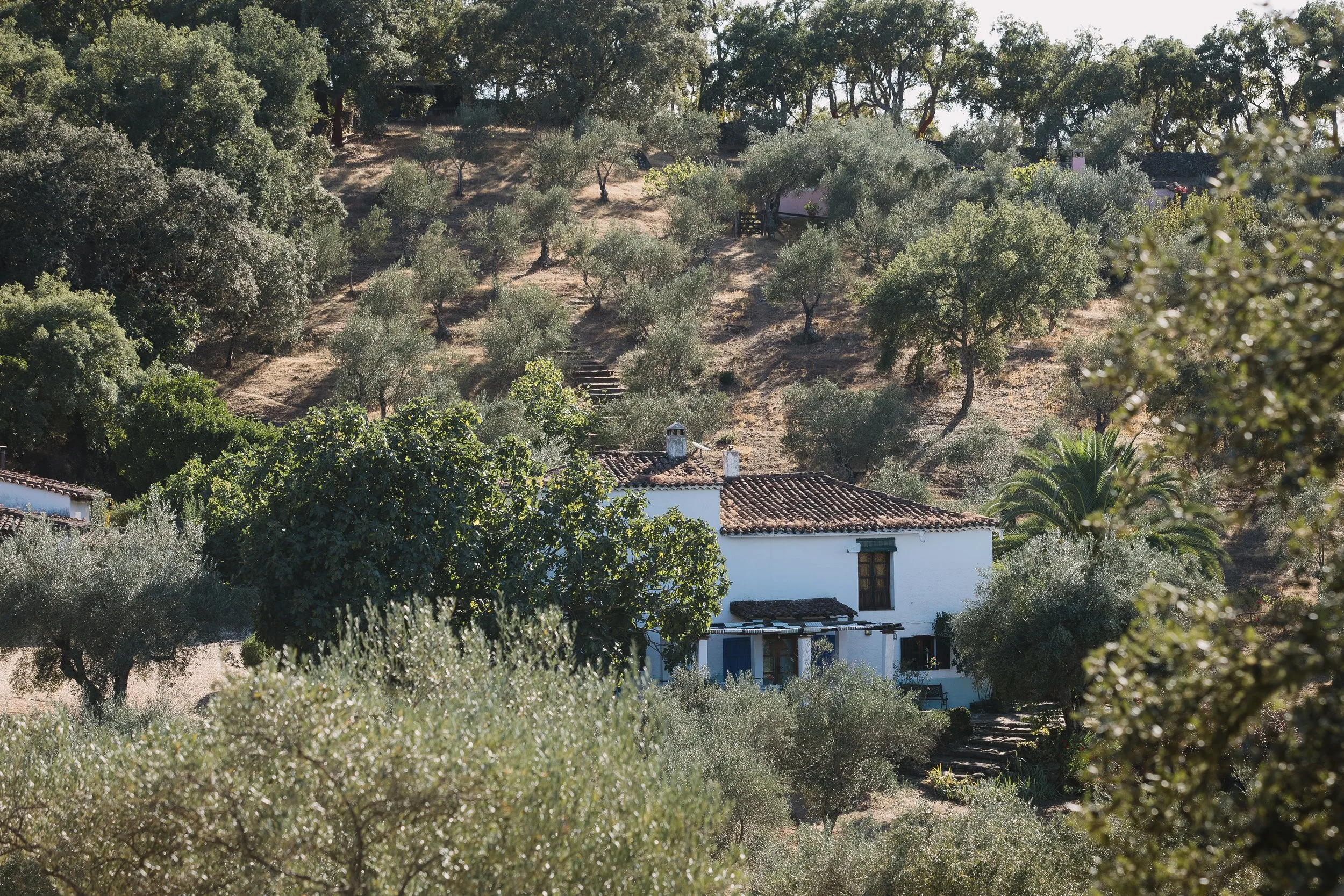 Retiro_yoga_Fuenteheridos_2025 (218).jpg