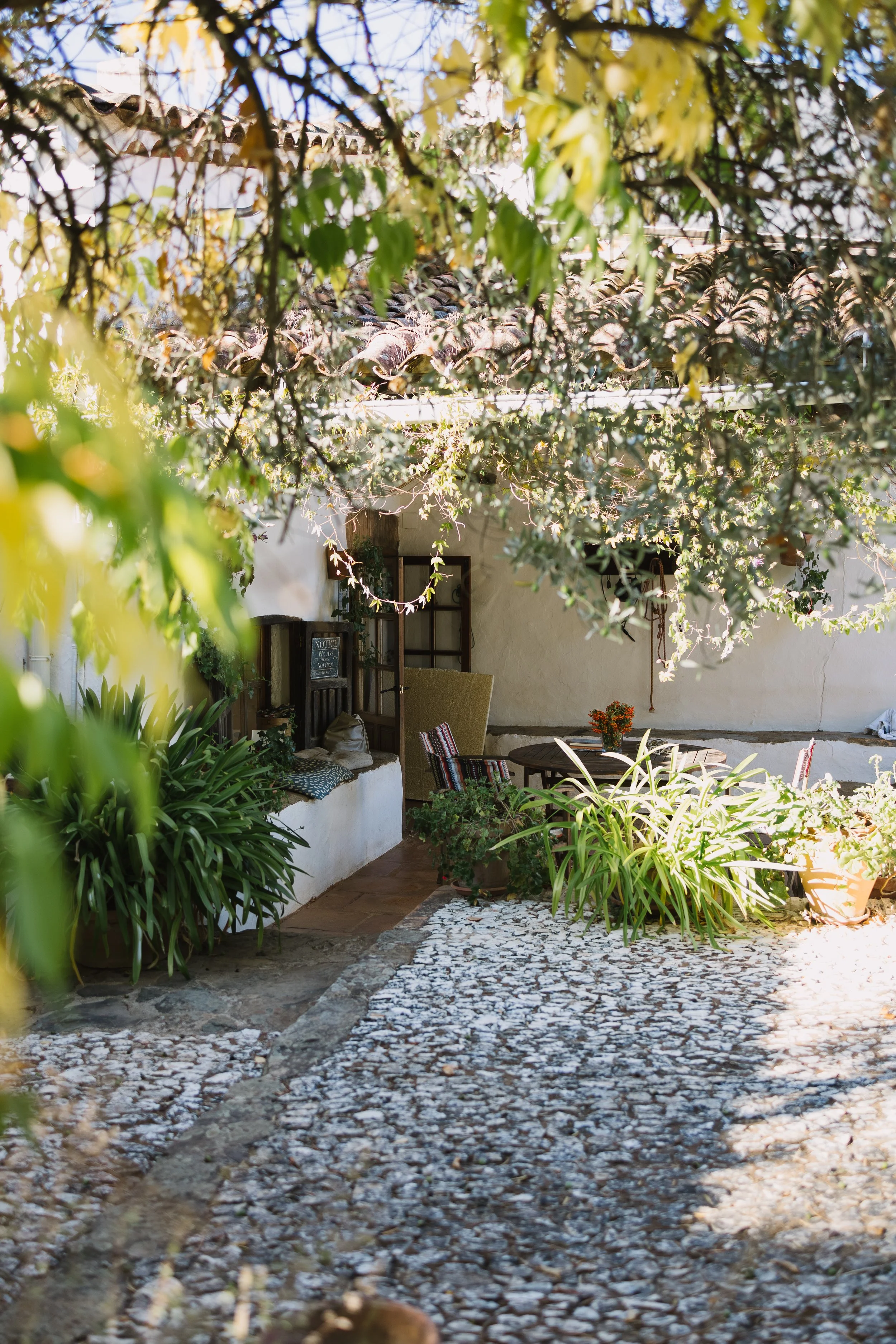 Retiro_yoga_Fuenteheridos_2025 (234).jpg