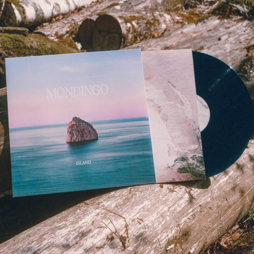 Copy of mondingo_fb(4).png