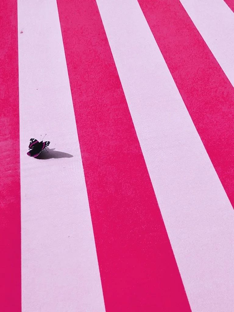 Urbane Momente (Butterfly) | Ralf Richert