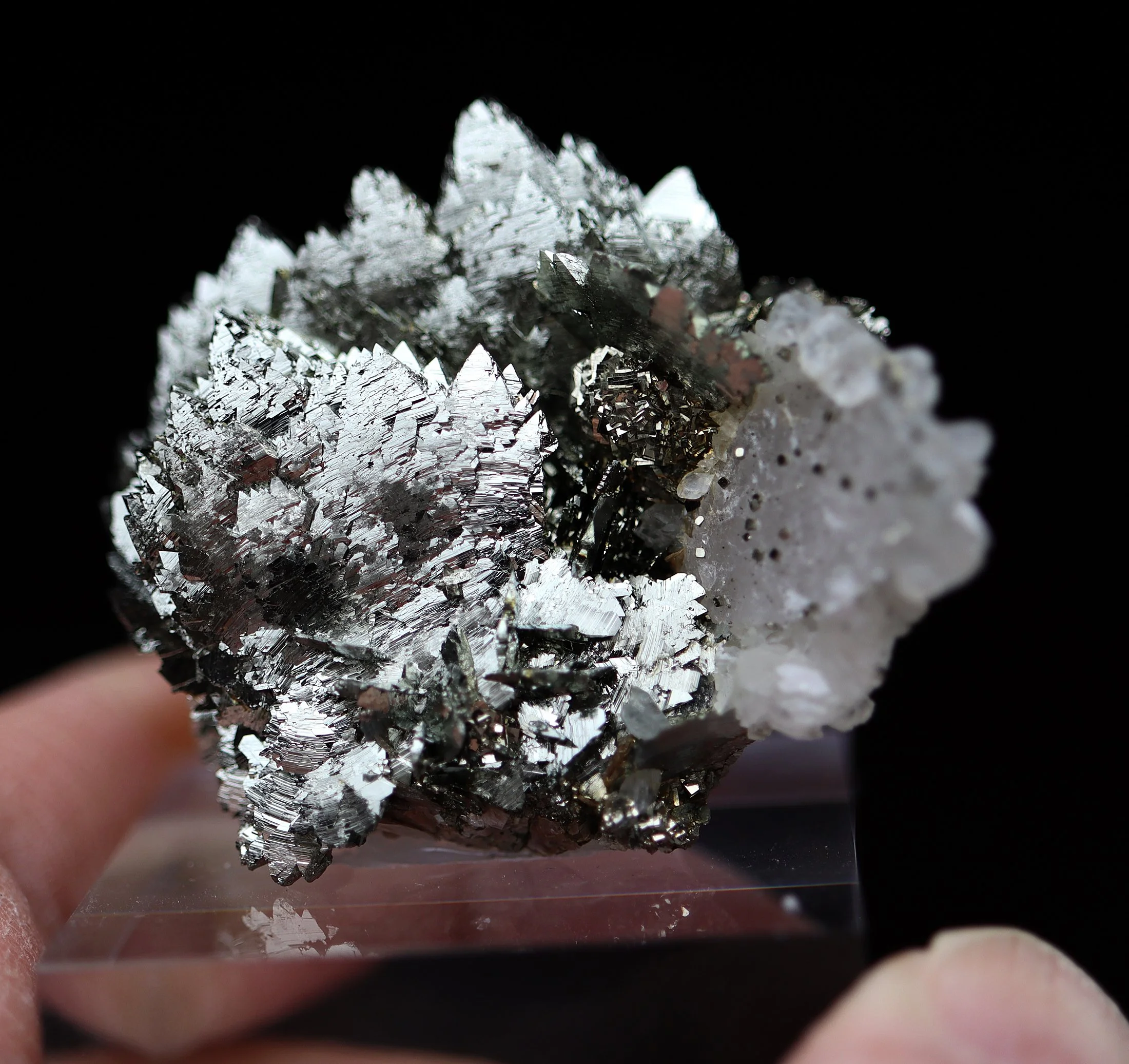 Lustrous Marcasite Blades with Calcite, Pyrite & Quartz - Panasqueira Mine