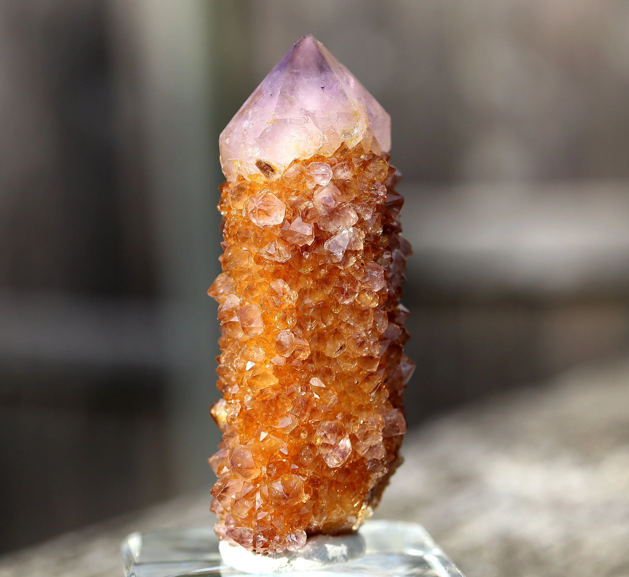 Ametrine quartz. These are uncommon. Gold to a purple termination. South Africa