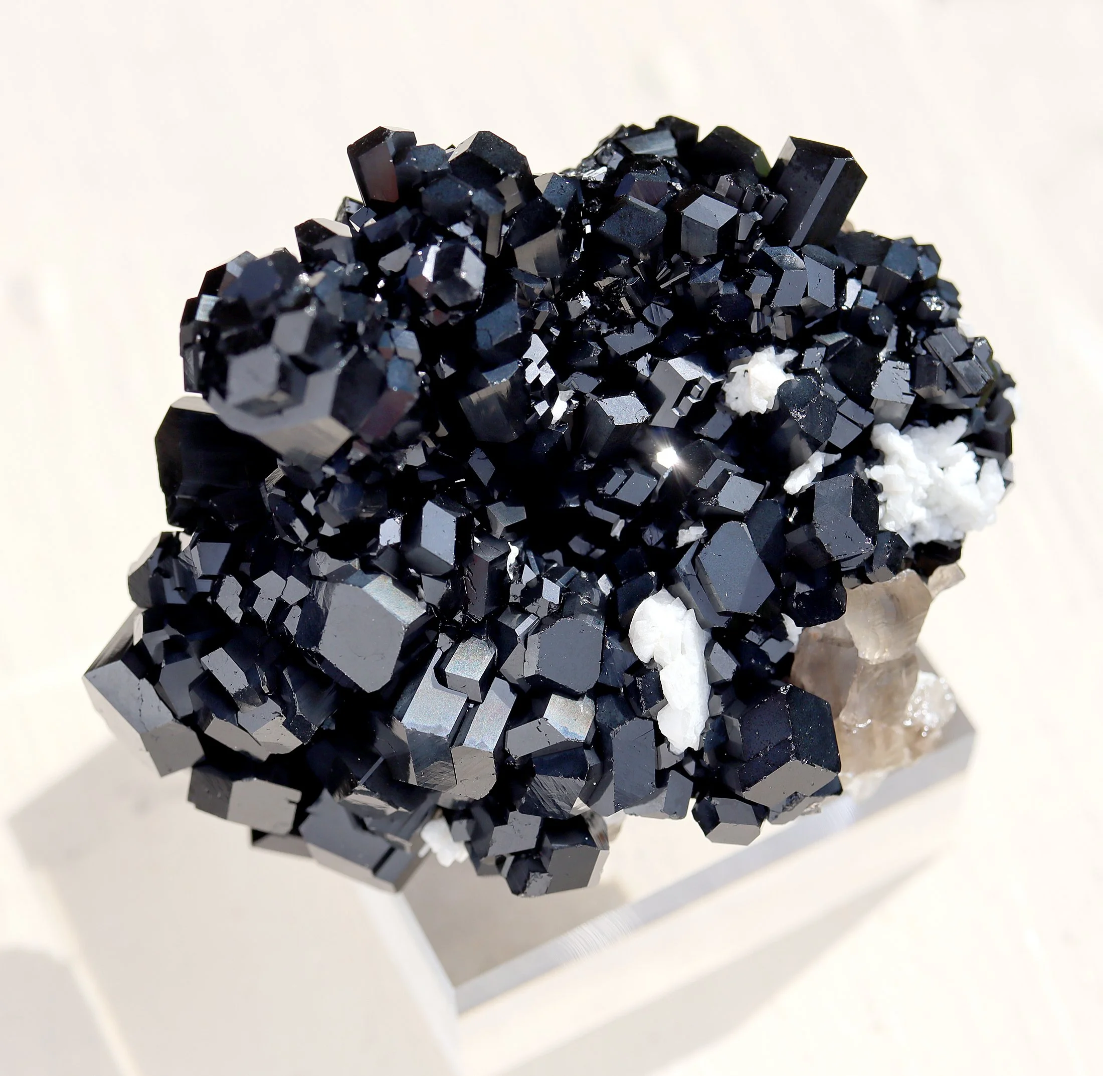 High luster Schorl tourmaline with Smoky quartz and Albite. Erongo Mts., Namibia 6.4 ounces