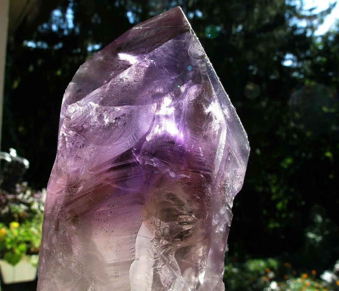 nineinelestial 3.jpg