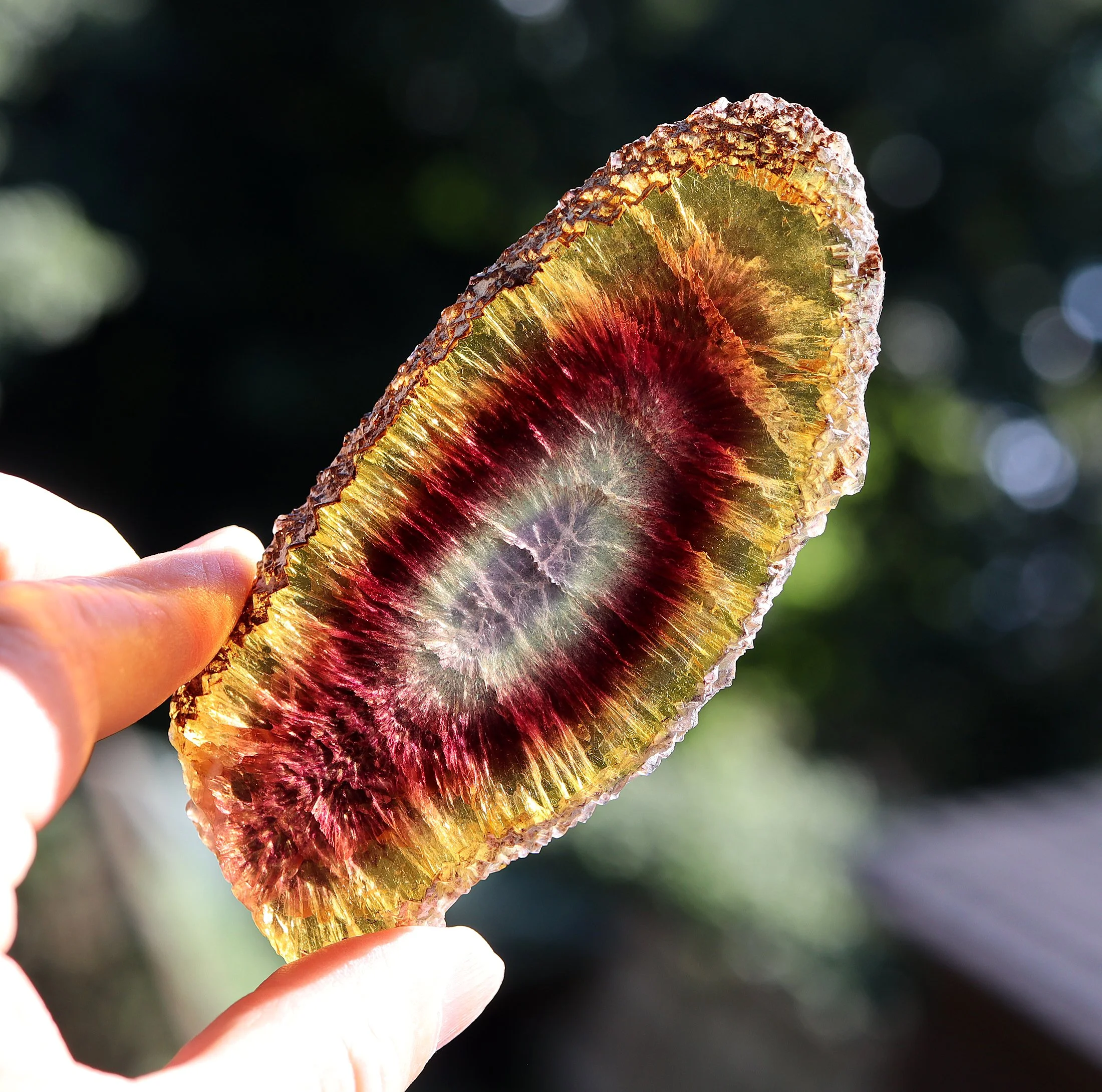 Polished Fluorite - Okorusu Mine, Otjiwarongo Constituency, Otjozondjupa Region, Namibia