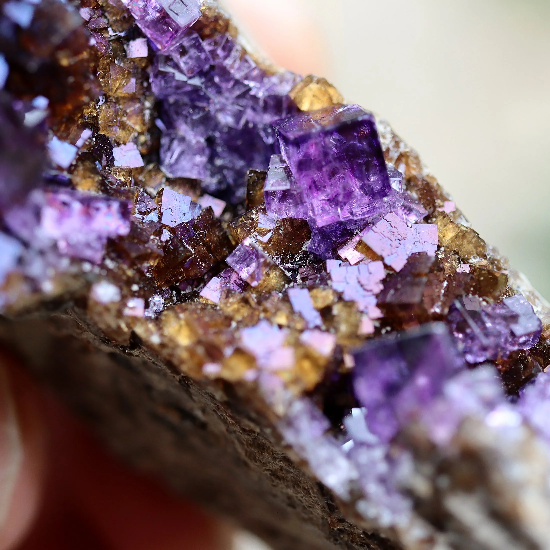 Iridescent rainbow Fluorite. Stoneco Auglaize Quarry, Junction, Paulding County, Ohio, USA