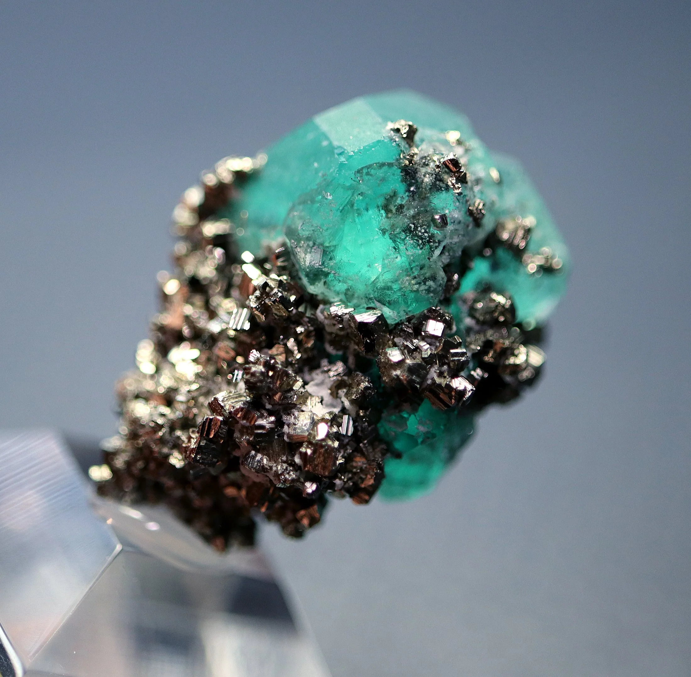 Gem Green Fluorite Crystal with Pyrite - Cerro de Pasco, Peru