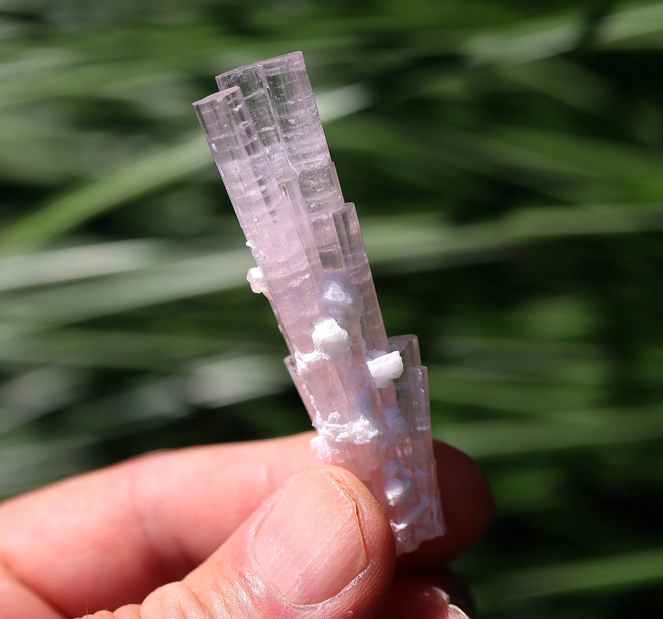 Doubly terminated Tourmaline in pristine condition. 19.6 grams, 65 mm tall