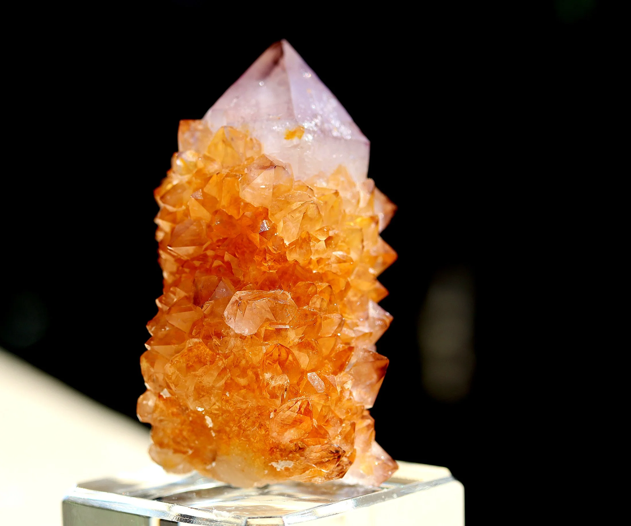 Natural Ametrine quartz or Amethyst cactus. These are uncommon. Gold to a purple termination. South Africa