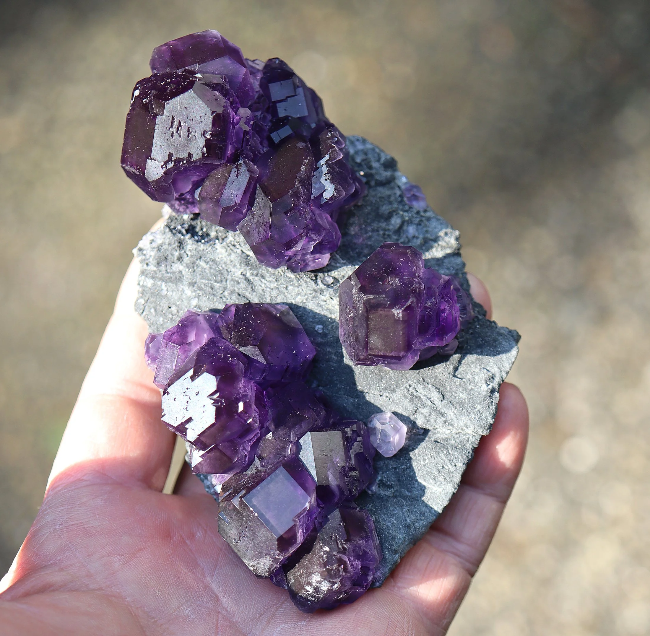 Classic Fluorite plate. Yongchun Co., Quanzhou, Fujian, China