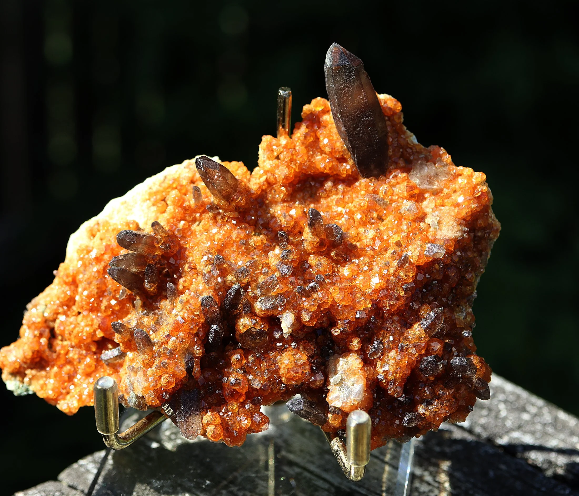 Spessartine Garnet with smoky quartz. Wushan Spessartine Mine, Tongbei, Yunxiao Co., Fujian Prov., China