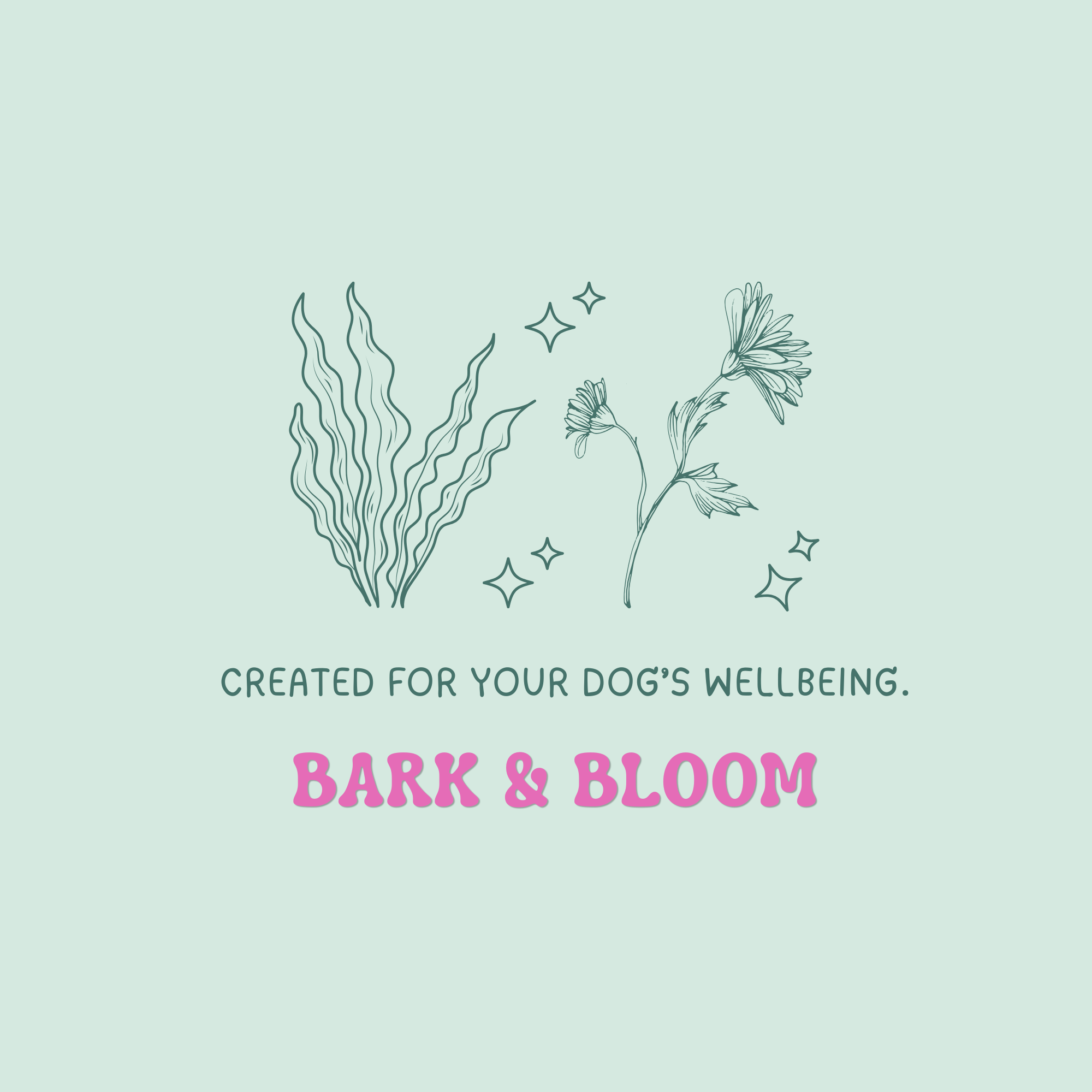 Illustration of seaweed and flowers with stars on a light green background, with text saying 'created for your dog's wellbeing. Bark & Bloom'.