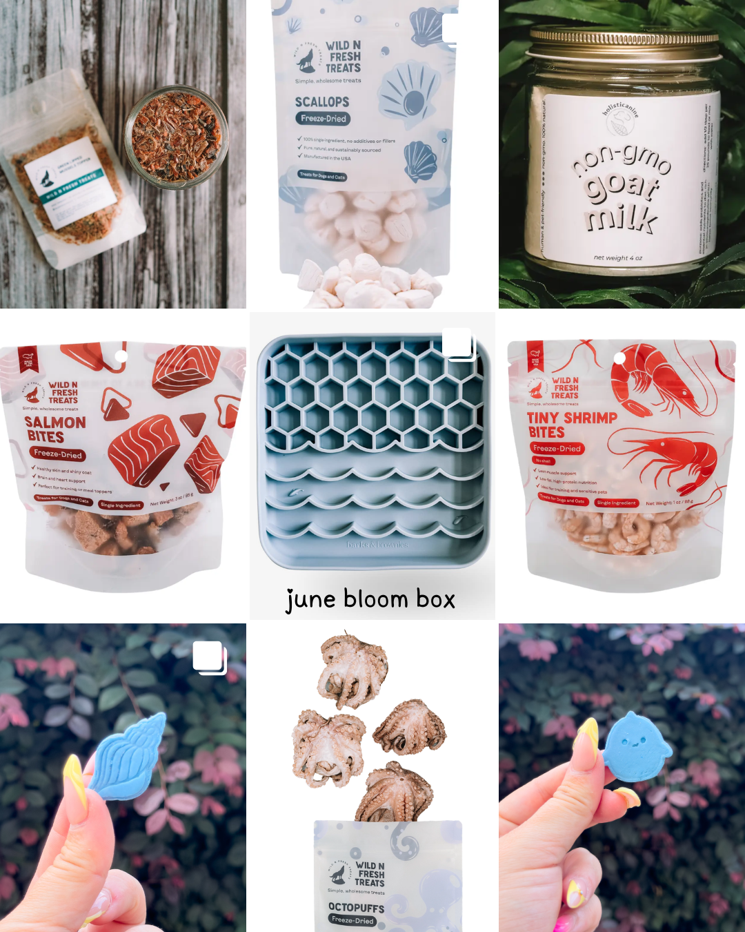 June Bloom Box | Under The Sea 🌊