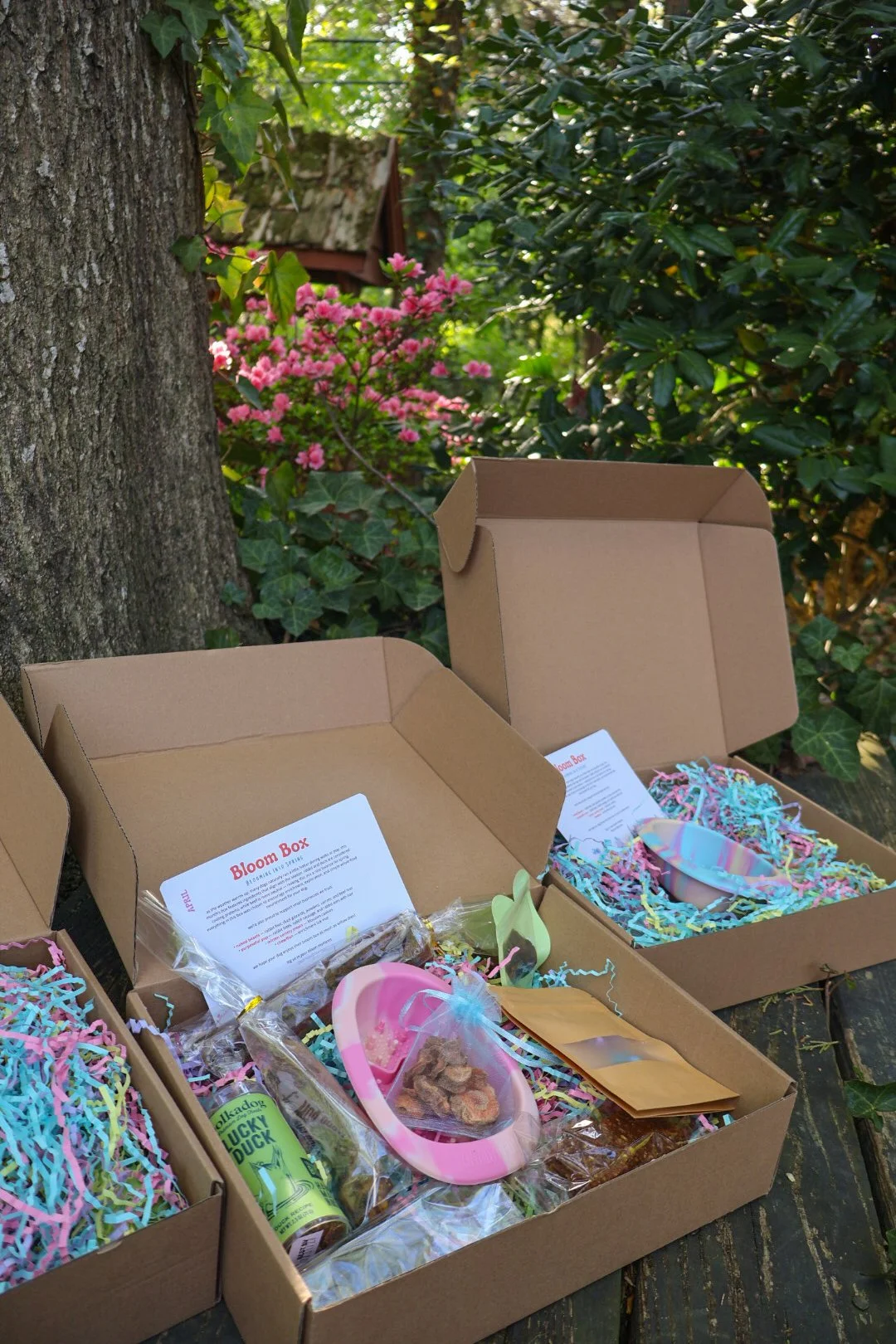 Monthly Bloom Box (April)