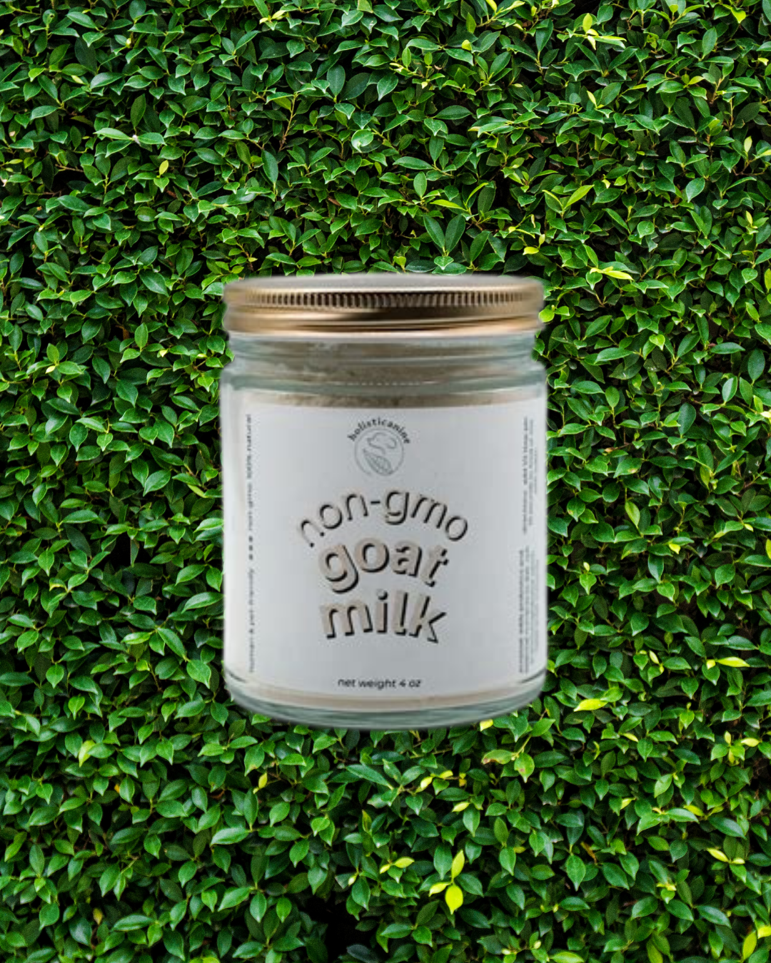 goat milk powder | holistic canine