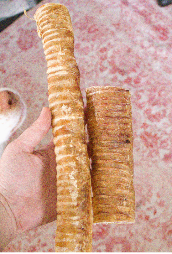 Beef+Tracheas.png