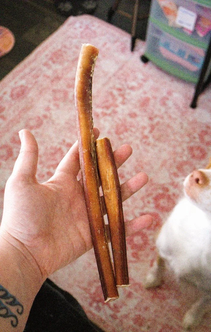 Bully Stick (6 in)