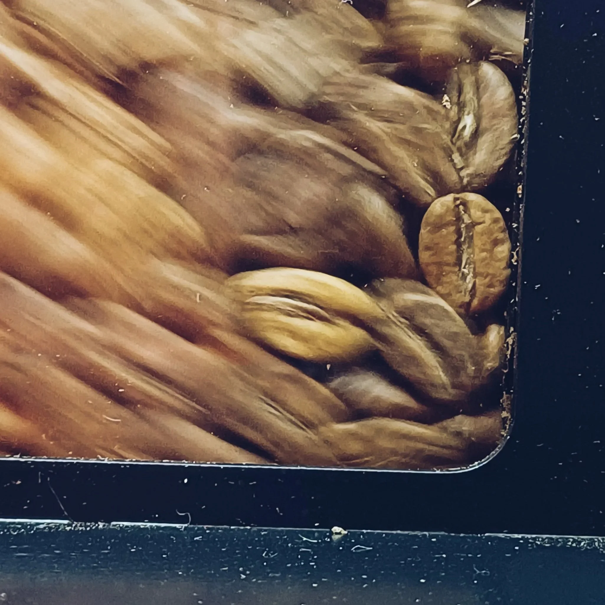 Does a "Perfect" Roast Curve Actually Guarantee Better Flavor?