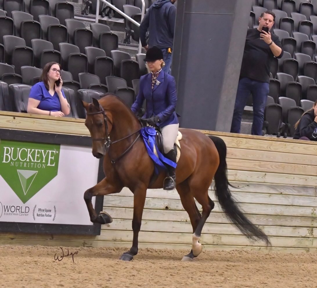 Double Blues for Masyn and Honor and Integrity for her adult amateur debut! This was sure a fun way to see her back in the ring!