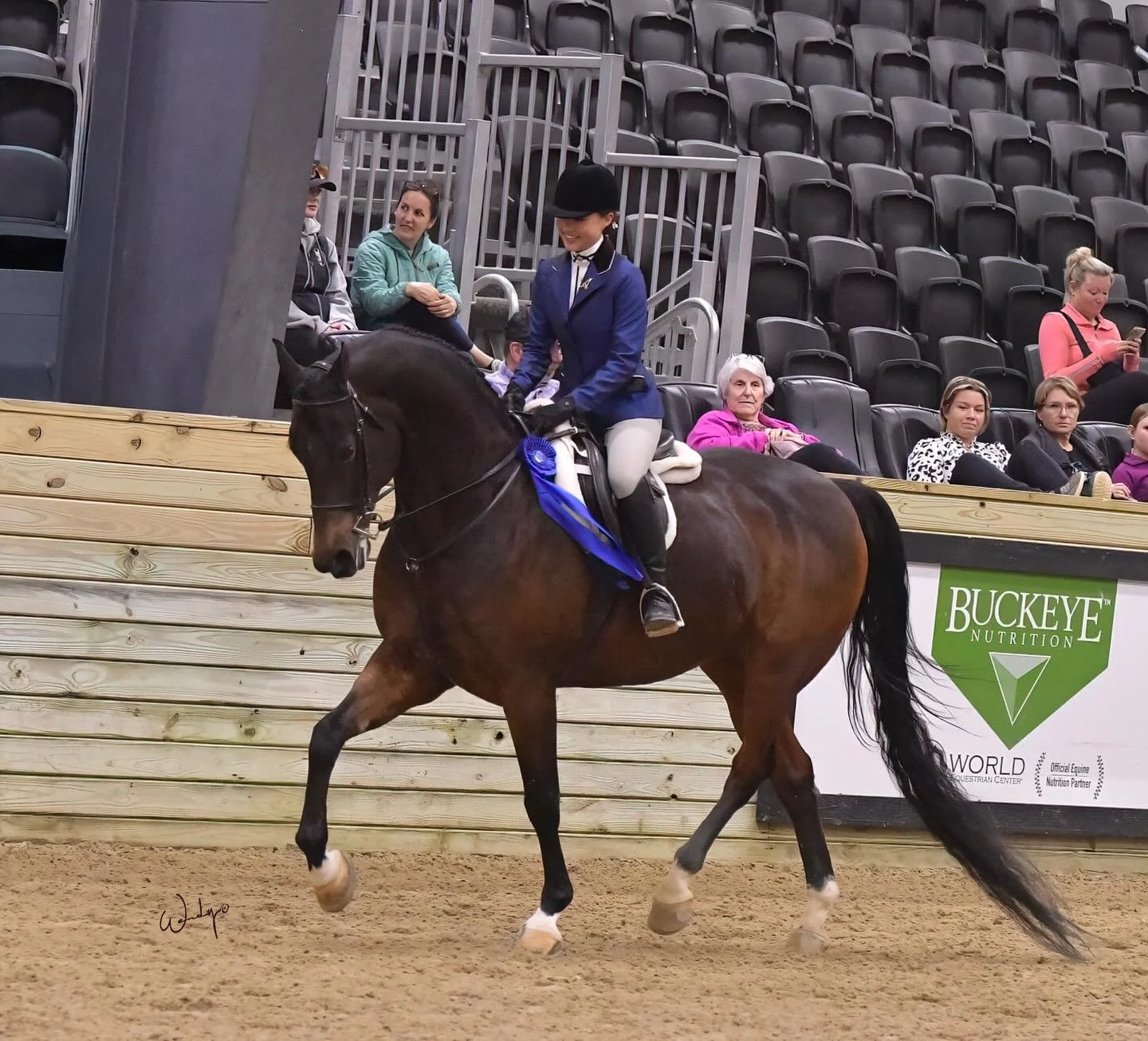 Ava and High and Teit PF had a great OHAHA! Taking home top ribbons in the HA Hunter JTR and Hunt Seat Equitation!