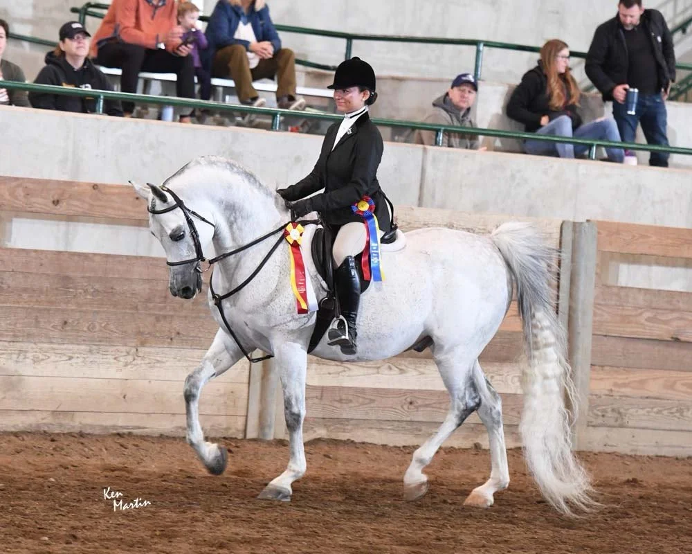 For your consideration and priced for a quick sale!

Smoke and Mirrors PN
2014 Arabian Gelding

Smoke is an eye catcher in the show ring! He just last weekend was Champion and Reserve Champion in the Arabian Hunter Pleasure 15-18 with a catch rider. 