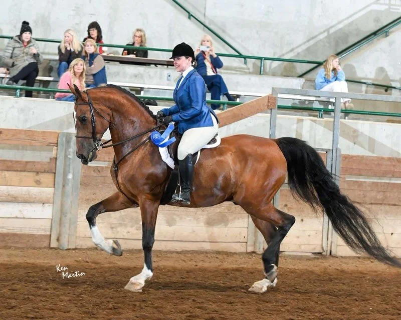 Getting some great pics in from our AHAM show a couple weeks ago! Look at these handsome horses and their beautiful riders. Looking forward to Region 11 in a couple weeks!