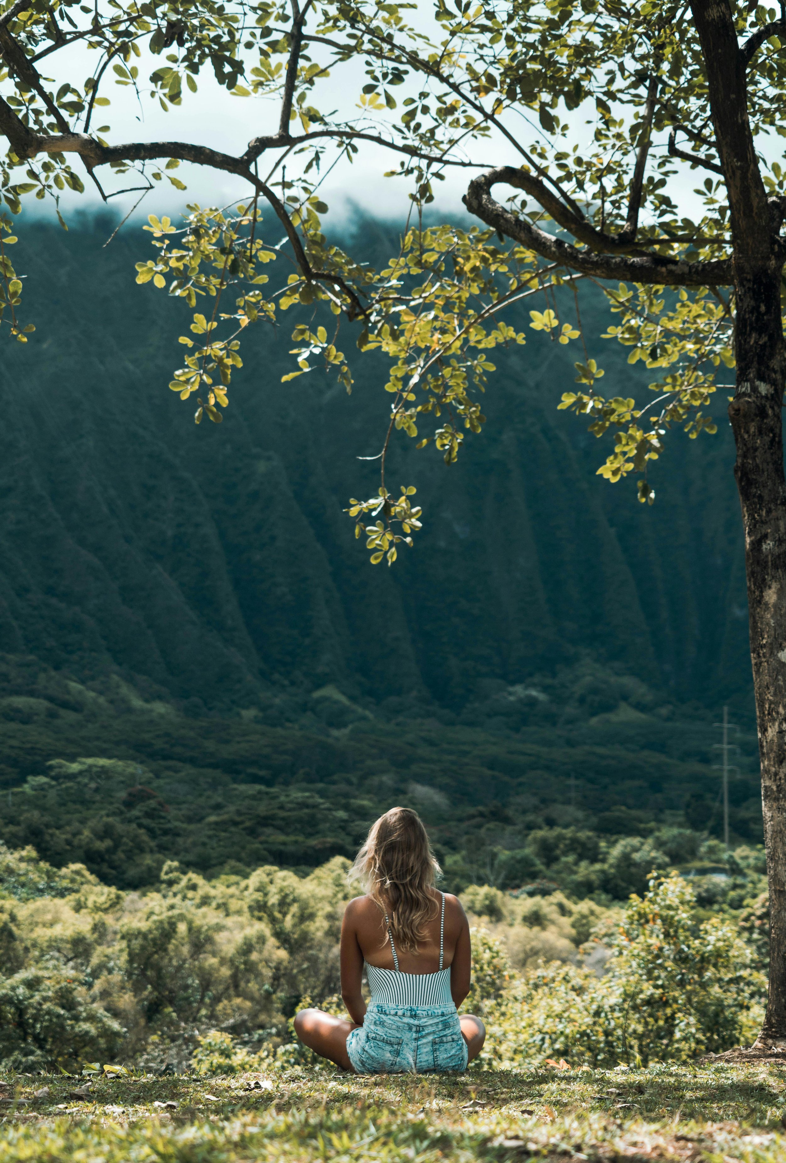 A woman with long hair sits cross-legged outdoors facing a scenic view of a valley with green trees, mountains in the background, and a large tree with leaves overhead.