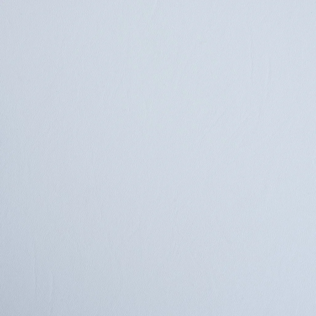 8e98d81f_Arctic-White.jpg (Copy) (Copy) (Copy) (Copy) (Copy)