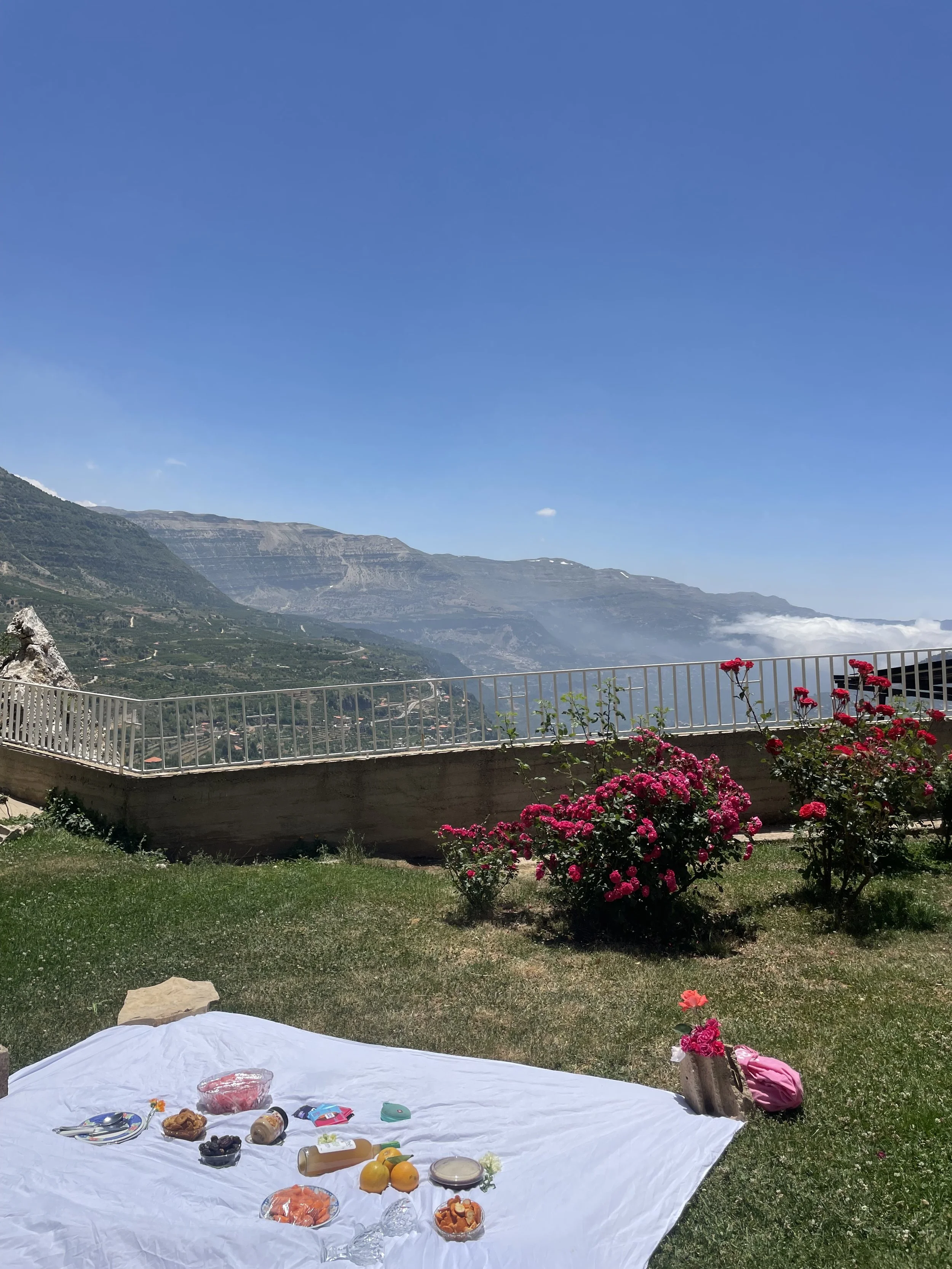A picnic setup on a white blanket with various foods, drinks, and utensils, outdoors on a grassy area with pink flowers, a white railing, and a mountainous landscape in the background under a clear blue sky.