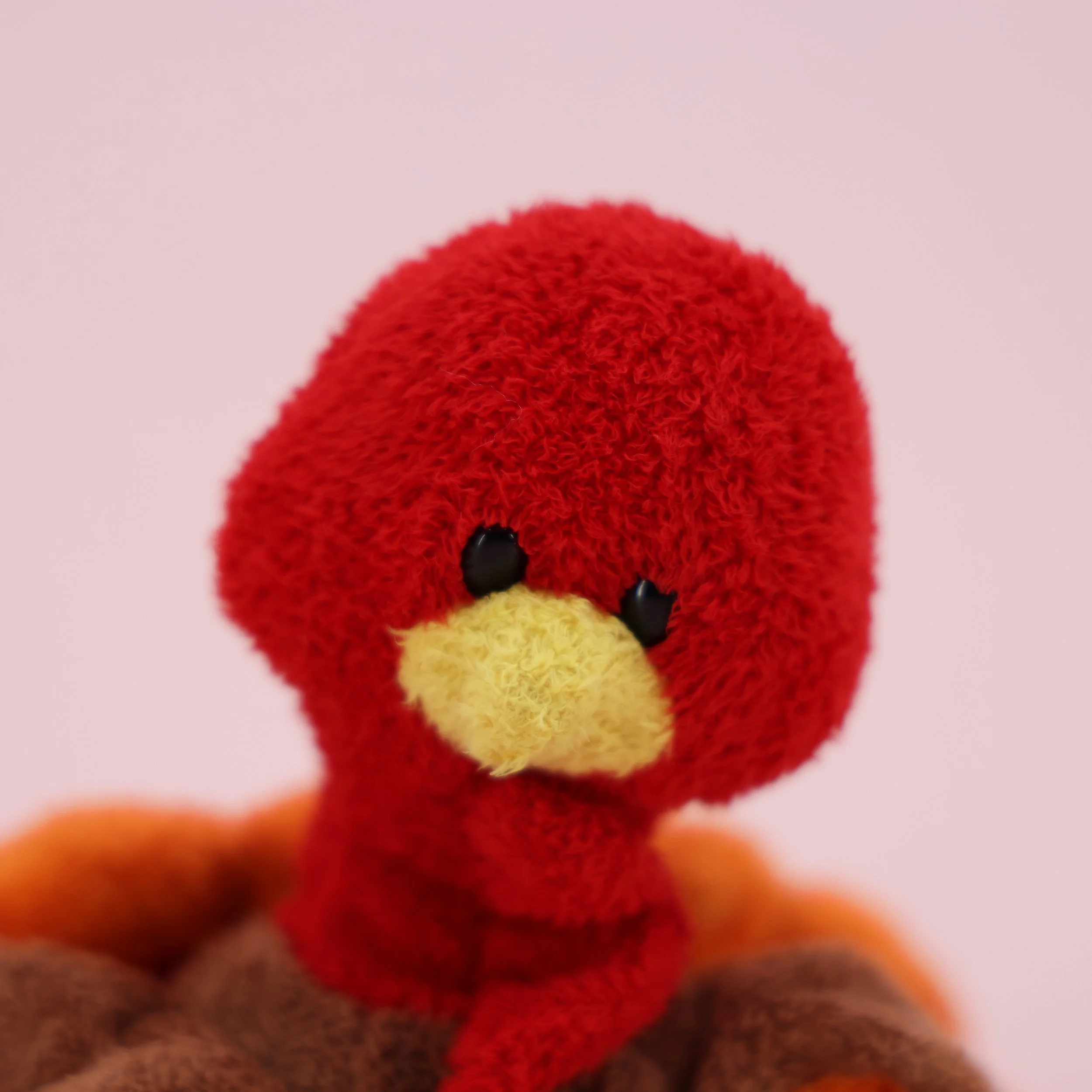 2R1A7442.JPG